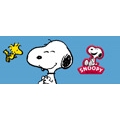 Peanuts & Snoopy