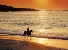 500 Teile Puzzle High Quality Collection  - Ausritt bei Sonnenuntergang