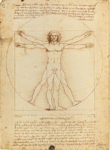 Museum 500 Teile Puzzle Leonardo - Vitruvianischer Mensch
