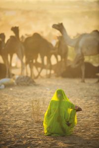 National Geographic 1000 Teile Puzzle Sari
