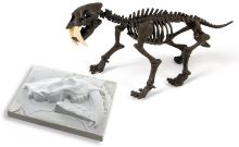 Galileo - Skelett Smilodon