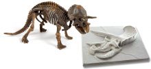 Galileo - Skelett Triceratops