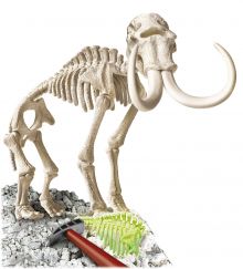 Galileo - Ausgrabungsset Mammut fluoreszierend