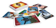 Dragons / Drachenzhmen leicht gemacht Mau Mau Spielkarten