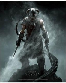 Skyrim Wallscroll Dragonborn (Textilbanner)
