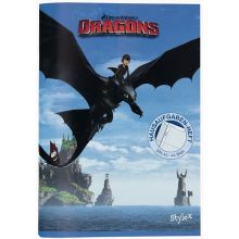Dragons - Hausaufgabenheft, 