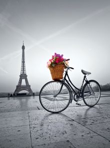 Romantische Promenade in Paris - 500 Teile HQC Puzzle