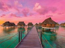 Buntes Paradies - 500 Teile HQC Puzzle