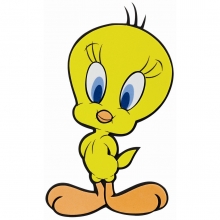 Looney Tunes Tweety Wandschmuck medium (3 Stck)