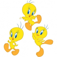Looney Tunes Tweety Wandschmuck (3-teilig) (3 Stck)