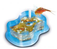 Galileo - Triops Basis Set