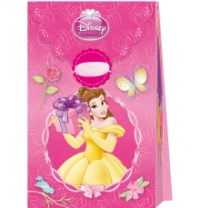 Disney Princess  - Party/Geschenktte