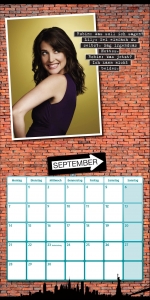 How I Met Your Mother Wandkalender 2015