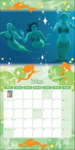 H2O - Pltzlich Meerjungfrau Wandkalender 2015
