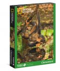 National Geographic 1000 Teile Puzzle Schimpanse