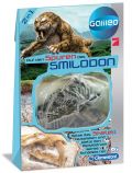 Galileo - Skelett Smilodon