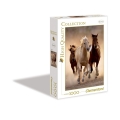 1000 Teile High Quality Collection Running horses