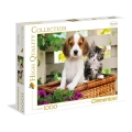 1000 Teile High Quality Collection Der Hund und die Katze