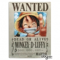 ONE PIECE - Metallplatte 